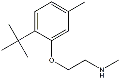 [2-(2-tert-butyl-5-methylphenoxy)ethyl](methyl)amine Structure