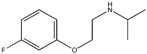 [2-(3-fluorophenoxy)ethyl](propan-2-yl)amine 化学構造式