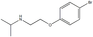 [2-(4-bromophenoxy)ethyl](propan-2-yl)amine Structure