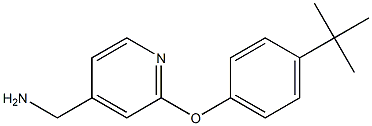 [2-(4-tert-butylphenoxy)pyridin-4-yl]methylamine,,结构式