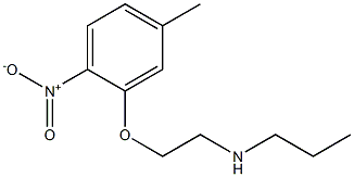 [2-(5-methyl-2-nitrophenoxy)ethyl](propyl)amine Structure