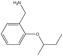  [2-(butan-2-yloxy)phenyl]methanamine