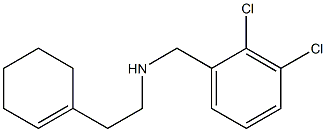 [2-(cyclohex-1-en-1-yl)ethyl][(2,3-dichlorophenyl)methyl]amine|