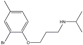 [3-(2-bromo-4-methylphenoxy)propyl](propan-2-yl)amine 化学構造式