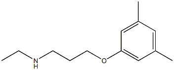 [3-(3,5-dimethylphenoxy)propyl](ethyl)amine|