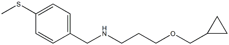 [3-(cyclopropylmethoxy)propyl]({[4-(methylsulfanyl)phenyl]methyl})amine Structure