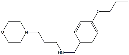[3-(morpholin-4-yl)propyl][(4-propoxyphenyl)methyl]amine