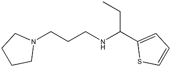 [3-(pyrrolidin-1-yl)propyl][1-(thiophen-2-yl)propyl]amine