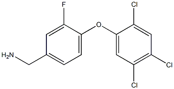 [3-fluoro-4-(2,4,5-trichlorophenoxy)phenyl]methanamine Structure