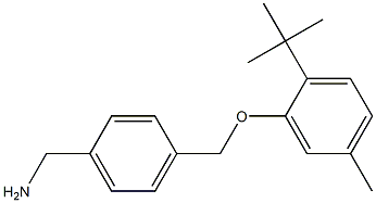 [4-(2-tert-butyl-5-methylphenoxymethyl)phenyl]methanamine 化学構造式