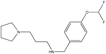 {[4-(difluoromethoxy)phenyl]methyl}[3-(pyrrolidin-1-yl)propyl]amine|