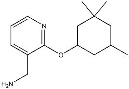{2-[(3,3,5-trimethylcyclohexyl)oxy]pyridin-3-yl}methanamine Structure