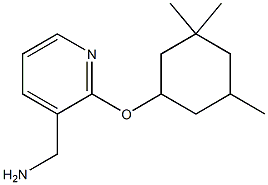 {2-[(3,3,5-trimethylcyclohexyl)oxy]pyridin-3-yl}methanamine|