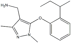 {5-[2-(butan-2-yl)phenoxy]-1,3-dimethyl-1H-pyrazol-4-yl}methanamine 结构式