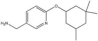 {6-[(3,3,5-trimethylcyclohexyl)oxy]pyridin-3-yl}methanamine,,结构式