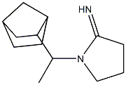1-(1-{bicyclo[2.2.1]heptan-2-yl}ethyl)pyrrolidin-2-imine|