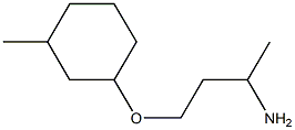 1-(3-aminobutoxy)-3-methylcyclohexane