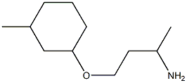 1-(3-aminobutoxy)-3-methylcyclohexane|