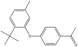 1-[4-(2-tert-butyl-5-methylphenoxy)phenyl]ethan-1-one