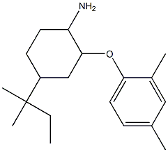  2-(2,4-dimethylphenoxy)-4-(2-methylbutan-2-yl)cyclohexan-1-amine