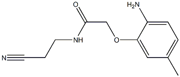  2-(2-amino-5-methylphenoxy)-N-(2-cyanoethyl)acetamide