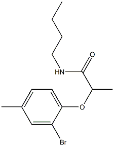 2-(2-bromo-4-methylphenoxy)-N-butylpropanamide 化学構造式