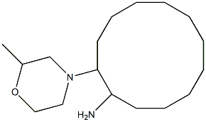 2-(2-methylmorpholin-4-yl)cyclododecan-1-amine