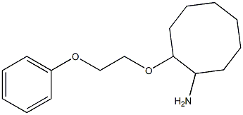 2-(2-phenoxyethoxy)cyclooctan-1-amine 结构式