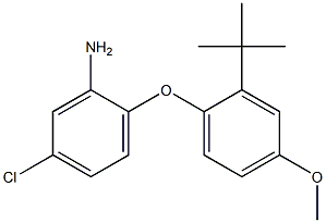2-(2-tert-butyl-4-methoxyphenoxy)-5-chloroaniline Structure
