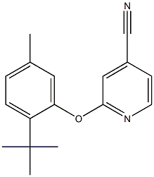 2-(2-tert-butyl-5-methylphenoxy)pyridine-4-carbonitrile|