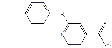  2-(4-tert-butylphenoxy)pyridine-4-carbothioamide