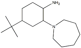 2-(azepan-1-yl)-4-tert-butylcyclohexan-1-amine 结构式