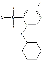 2-(cyclohexyloxy)-5-methylbenzene-1-sulfonyl chloride,,结构式