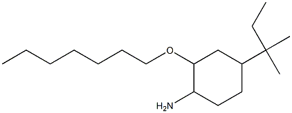 2-(heptyloxy)-4-(2-methylbutan-2-yl)cyclohexan-1-amine,,结构式