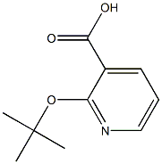 2-(tert-butoxy)pyridine-3-carboxylic acid,,结构式