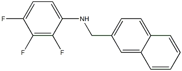 2,3,4-trifluoro-N-(naphthalen-2-ylmethyl)aniline 结构式