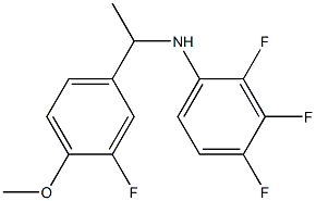 2,3,4-trifluoro-N-[1-(3-fluoro-4-methoxyphenyl)ethyl]aniline|
