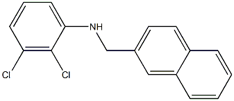 2,3-dichloro-N-(naphthalen-2-ylmethyl)aniline 化学構造式
