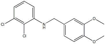 2,3-dichloro-N-[(3,4-dimethoxyphenyl)methyl]aniline,,结构式