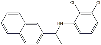 2,3-dichloro-N-[1-(naphthalen-2-yl)ethyl]aniline Structure