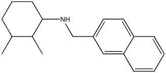 2,3-dimethyl-N-(naphthalen-2-ylmethyl)cyclohexan-1-amine