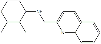 2,3-dimethyl-N-(quinolin-2-ylmethyl)cyclohexan-1-amine,,结构式