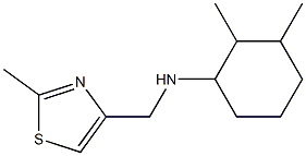2,3-dimethyl-N-[(2-methyl-1,3-thiazol-4-yl)methyl]cyclohexan-1-amine 化学構造式