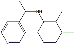 2,3-dimethyl-N-[1-(pyridin-4-yl)ethyl]cyclohexan-1-amine