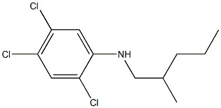 2,4,5-trichloro-N-(2-methylpentyl)aniline