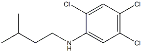 2,4,5-trichloro-N-(3-methylbutyl)aniline