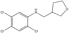 2,4,5-trichloro-N-(oxolan-3-ylmethyl)aniline 结构式