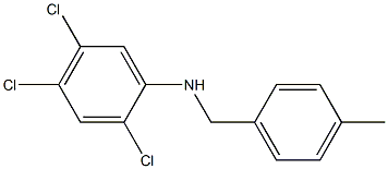 2,4,5-trichloro-N-[(4-methylphenyl)methyl]aniline Struktur