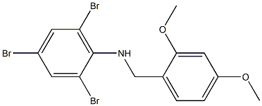 2,4,6-tribromo-N-[(2,4-dimethoxyphenyl)methyl]aniline Struktur