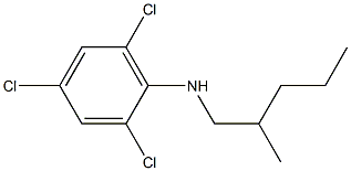 2,4,6-trichloro-N-(2-methylpentyl)aniline|